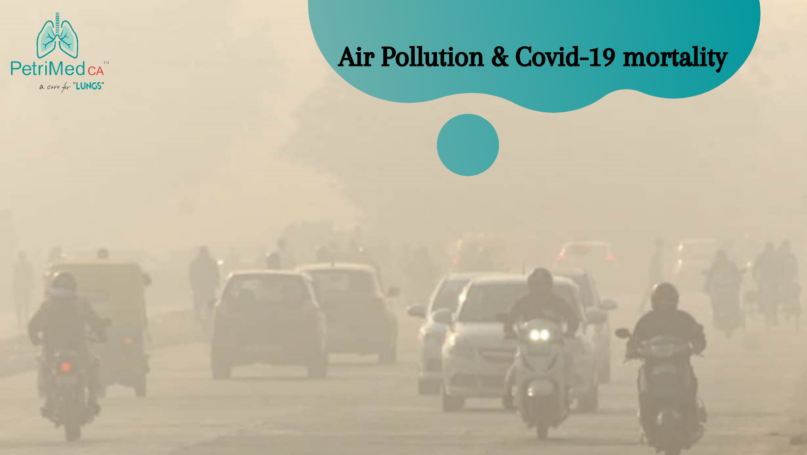 PetriMed CA air purification system, air pollution, air pollution in delhi