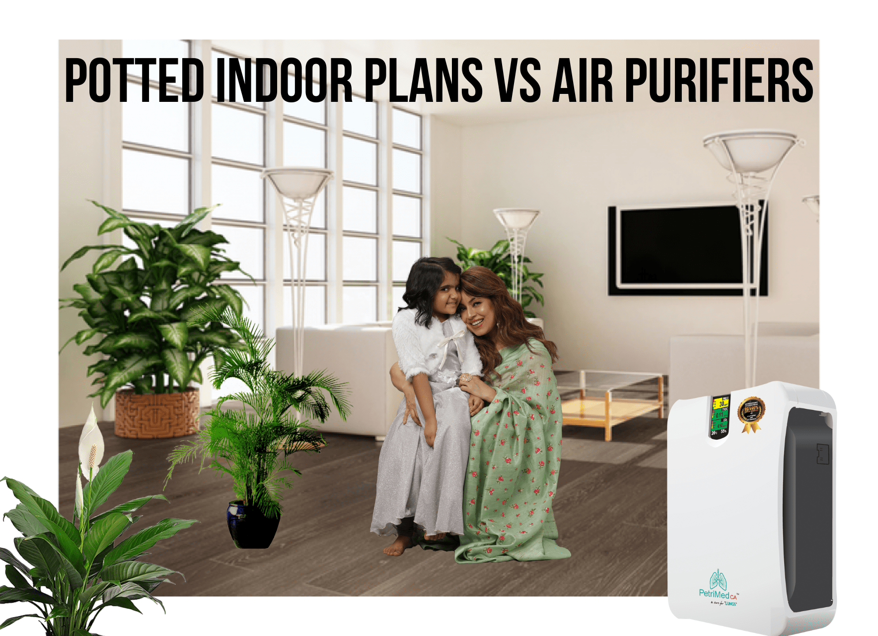 Potted Indoor Plans Vs Air Purification system - PetriMed CA