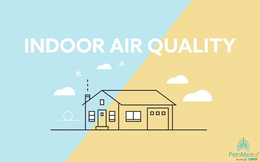 The Impact of Molds on Indoor Air Quality:  An Overview of How You Can Beat Pollution
