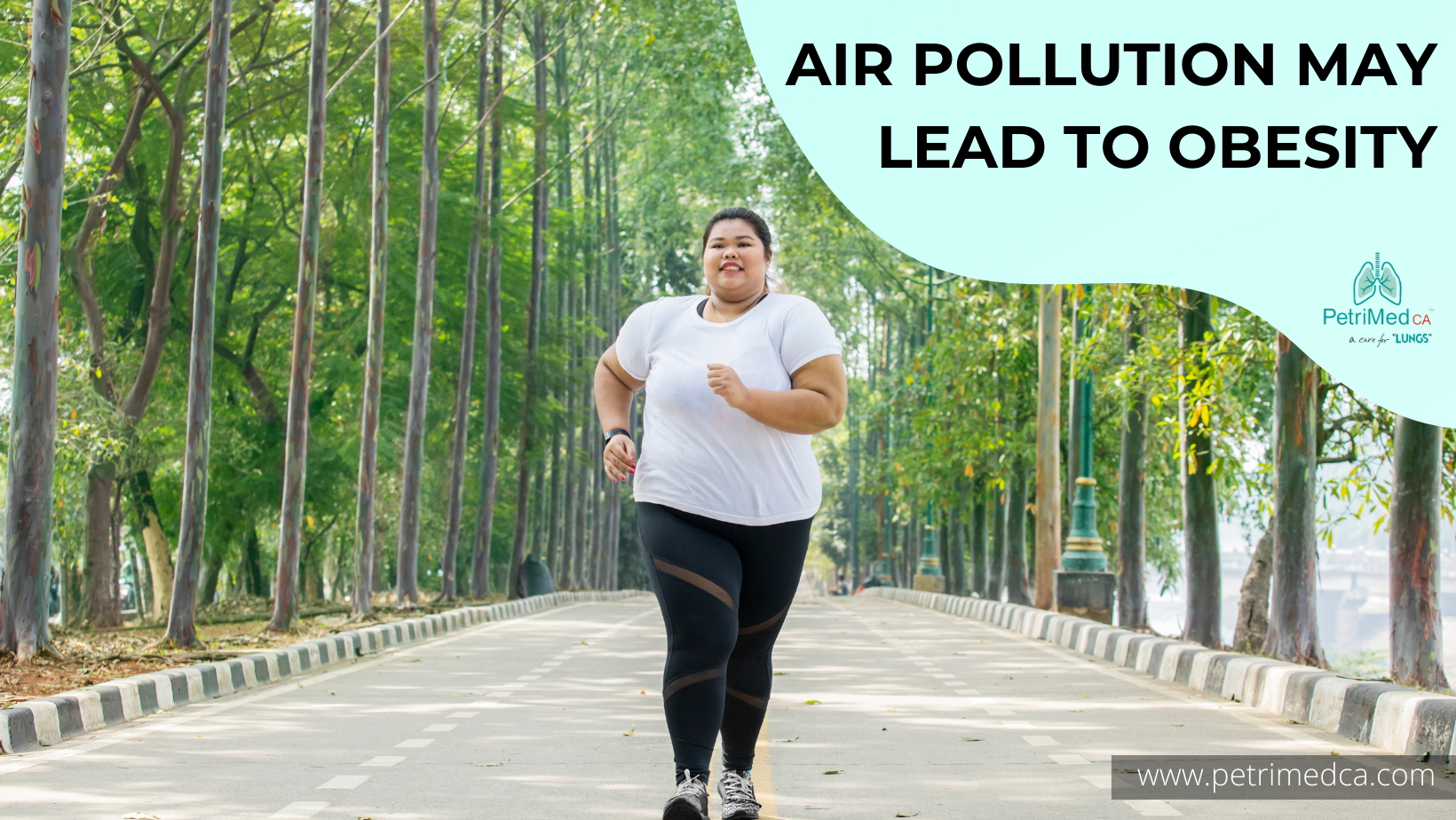 Weight Gain? Air Pollution Also Shares Blame