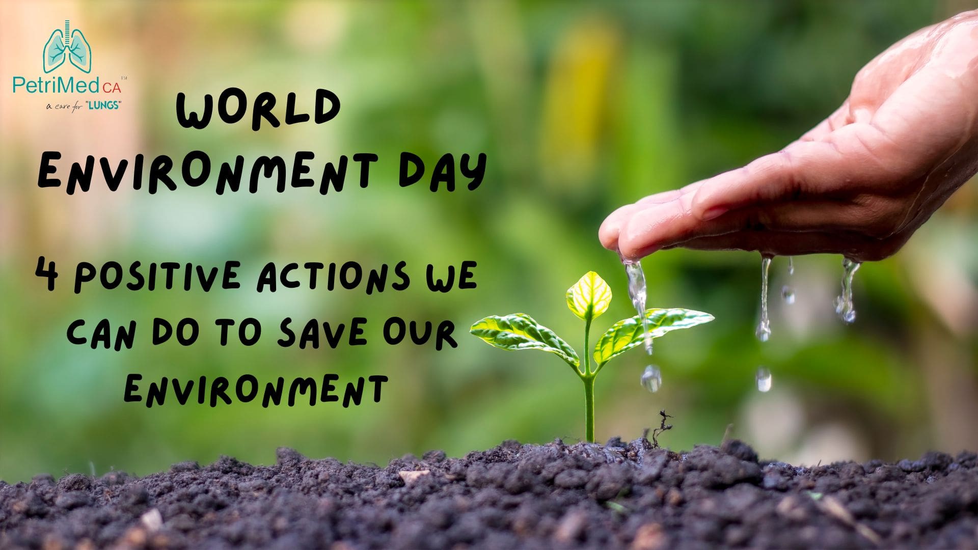 World Environment Day: 4 Positive Actions We Can Do to Save Our Environment