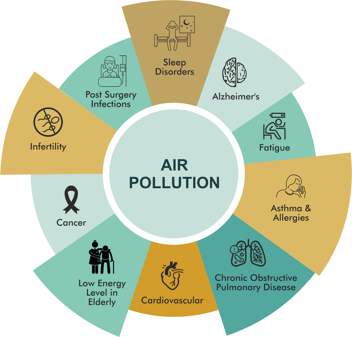 Air purifier for offices and caproates